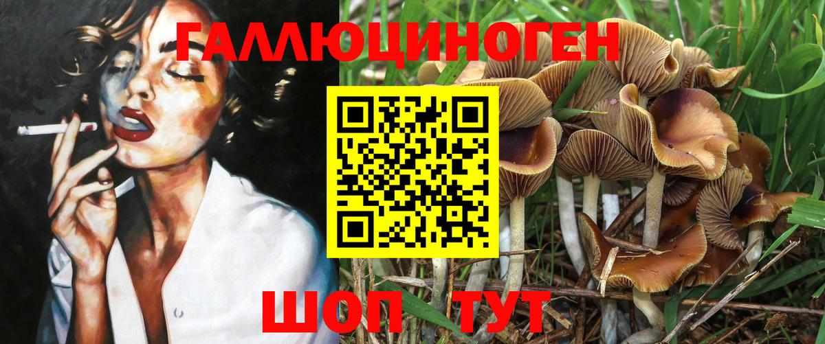 Дивногорск  Галлюциногенные грибы ЛСД  Вход с VPN 